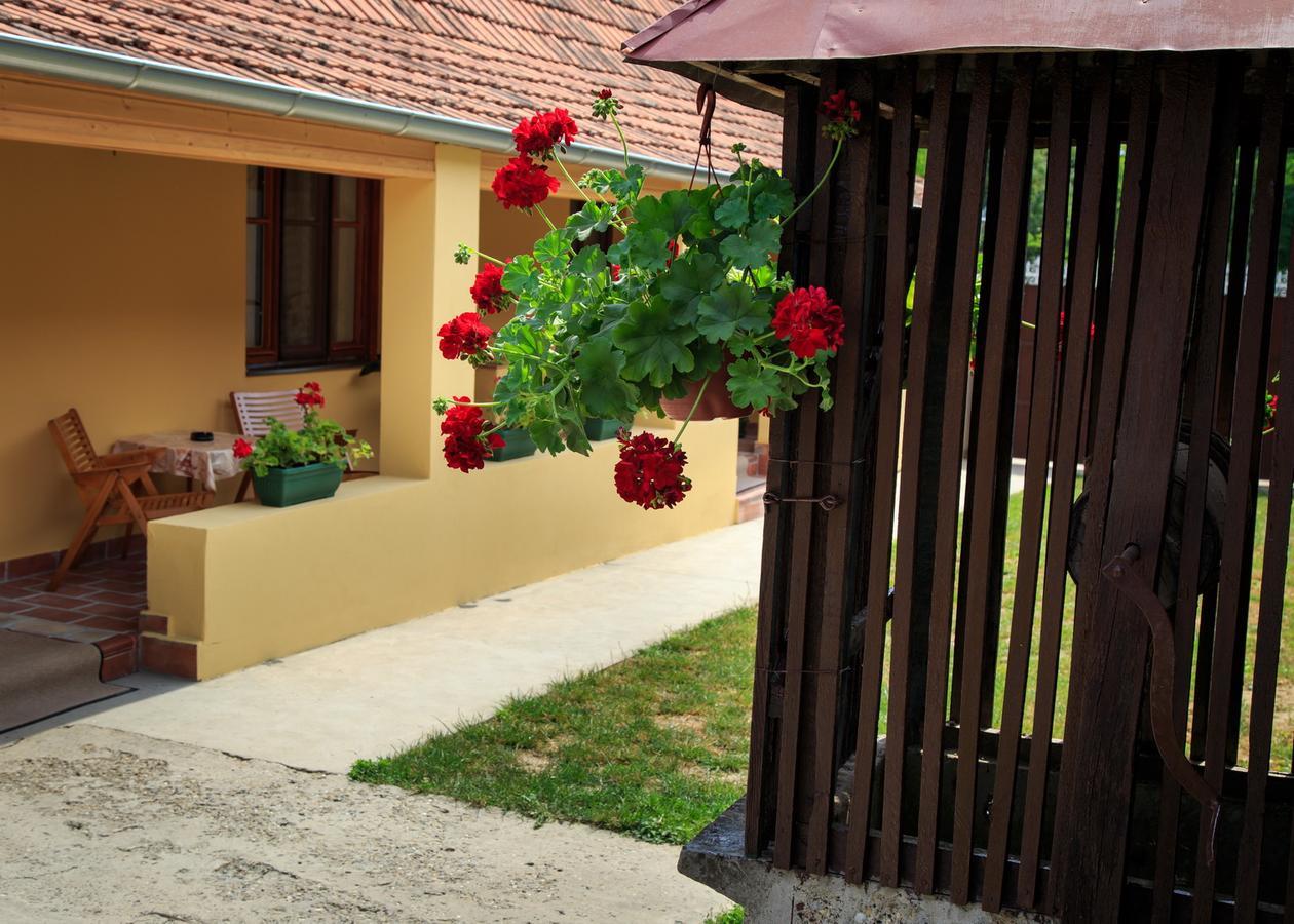 Pacir Fortuna Apartments מראה חיצוני תמונה